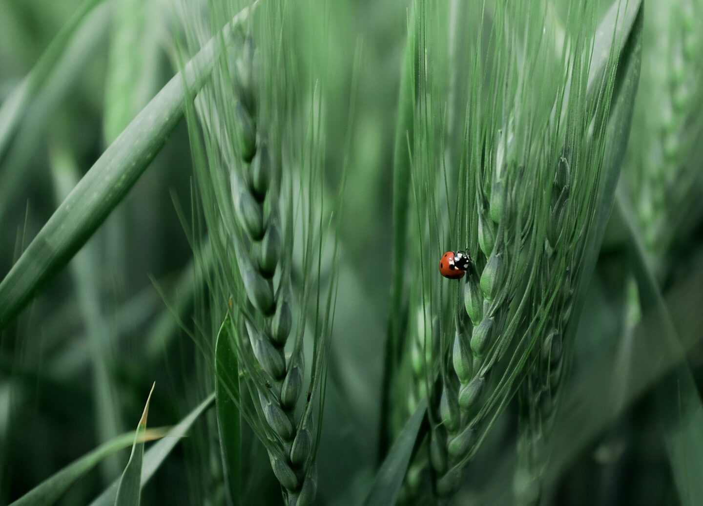 image de fond Bureau Veritas Sust'Enablers